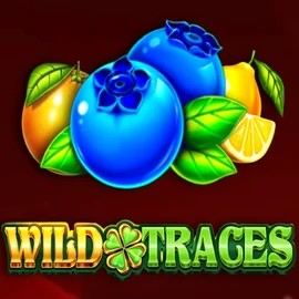 Play Wild Traces slot by Amusnet Interactive on hurmiocasinos.fi